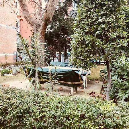 Tl Arance E Rose * Bologna